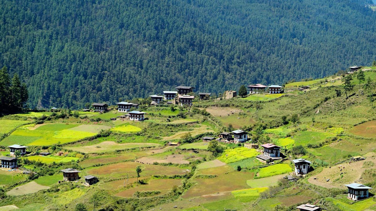 Haa Valley – Offbeat Cultural Charm